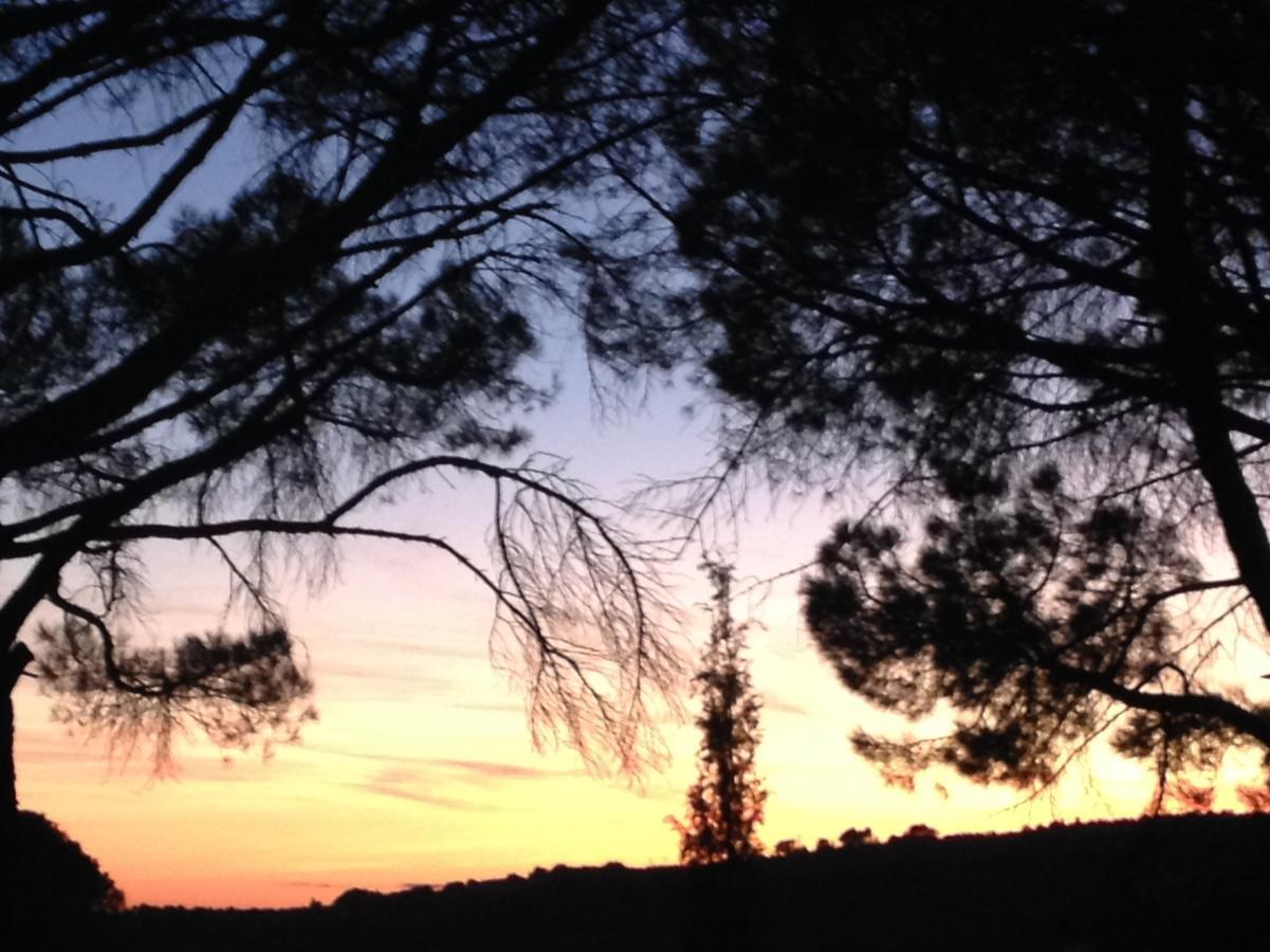 La Picholine En Provence Hotel Nyons Kültér fotó